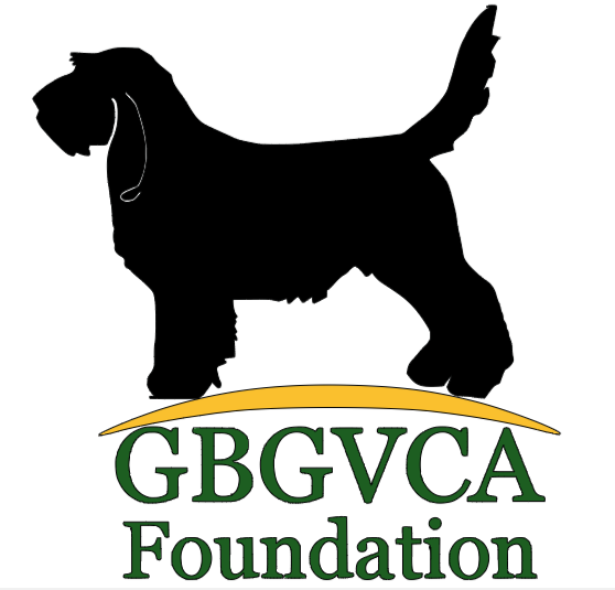 GBGVCA Foundation